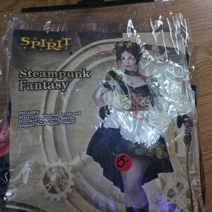 Steampunk Fantasy Victorian Dress Up Halloween Deluxe Adult Costume & Tights L